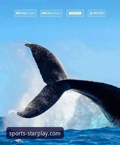 亚星娱乐官网安装与使用实用指南：从下载到畅玩的完整教程